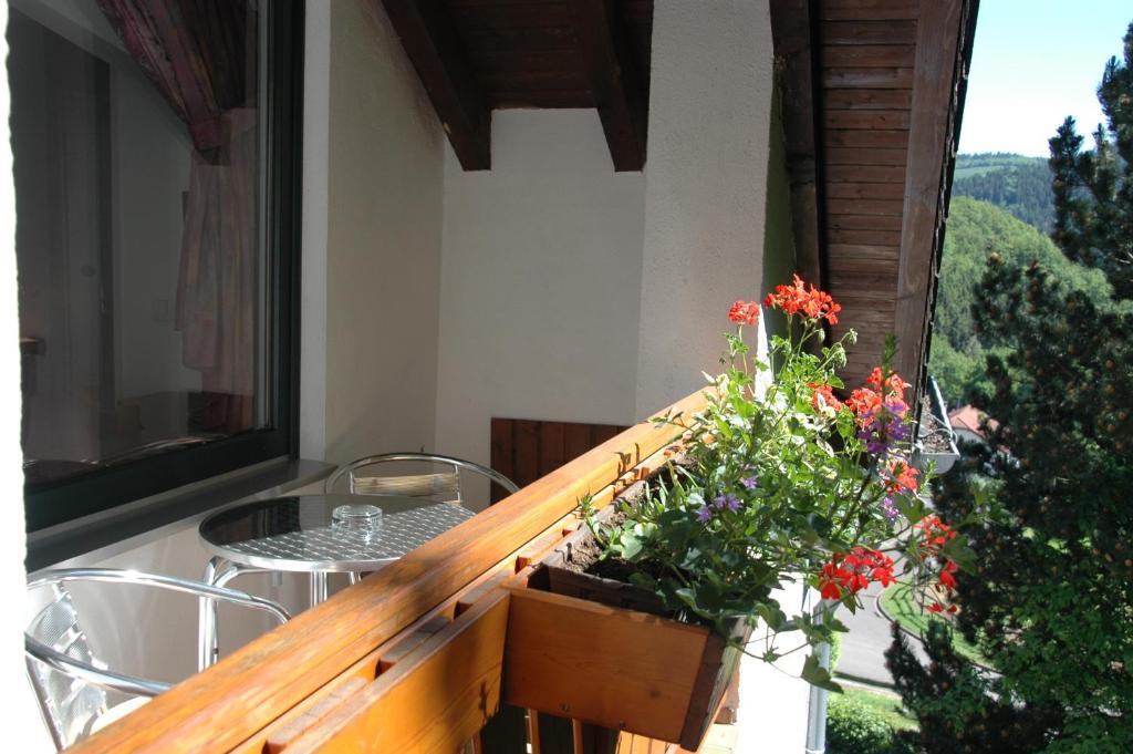 Pension Haus Diefenbach Heimbach Room photo